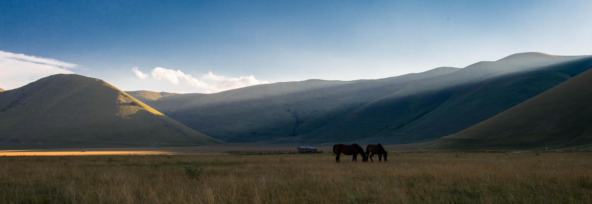  CAMPERS AND CARAVANS 